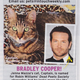 Image for article titled This Week In Tabloids: Two Mags Are Pro-Angie, Two Mags Are Pro-Brad, & None of Them Are Convincing